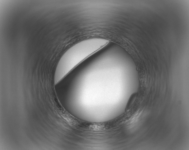 X0000058770660200509300841