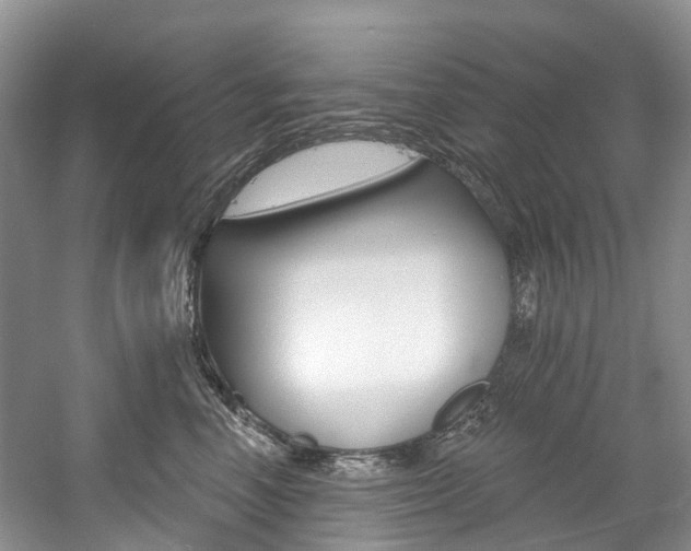 X0000058770666200509300841