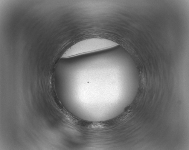 X0000058770668200509300841
