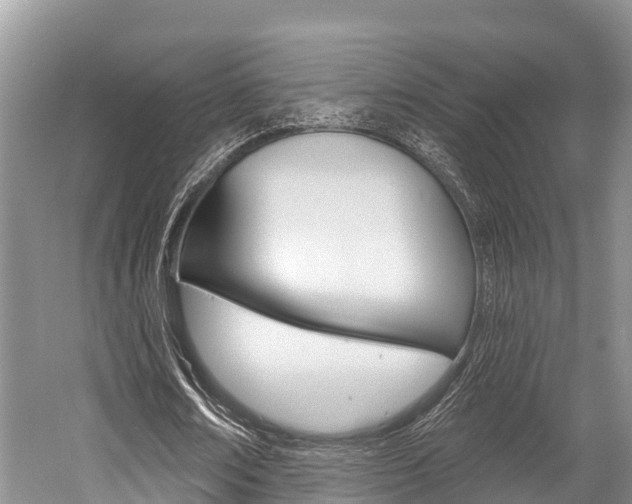 X0000058770674200509300840