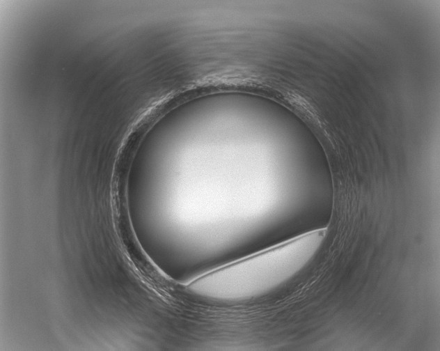 X0000058770680200509300840