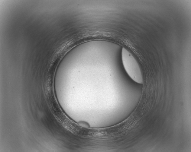 X0000058770683200509300840