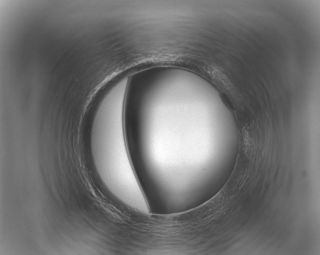 X0000058770684200509300840