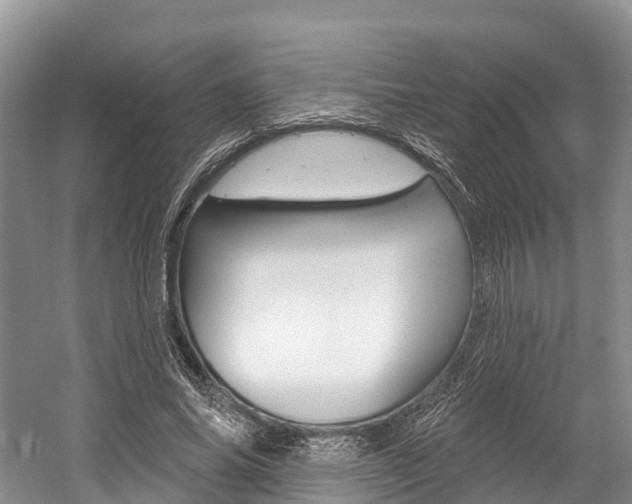 X0000058770686200509300840