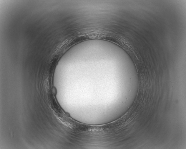 X0000058770690200509300840