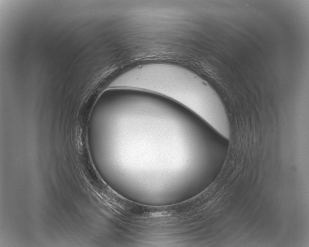 X0000058770692200509300840
