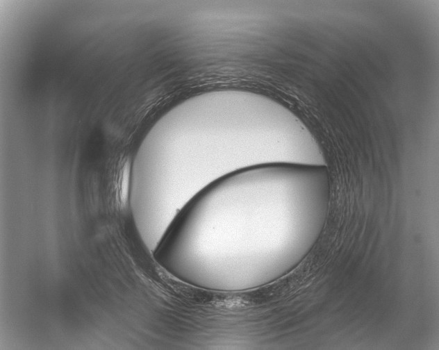 X0000058770695200509300840