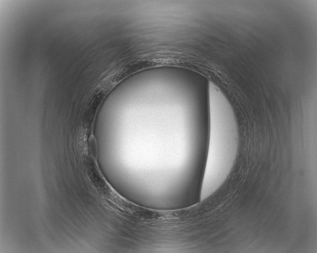X0000058770696200509300840