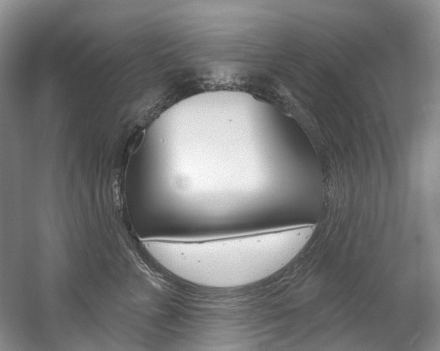 X0000058770715200509300840