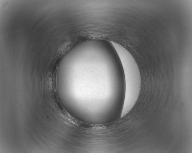 X0000058770716200509300840