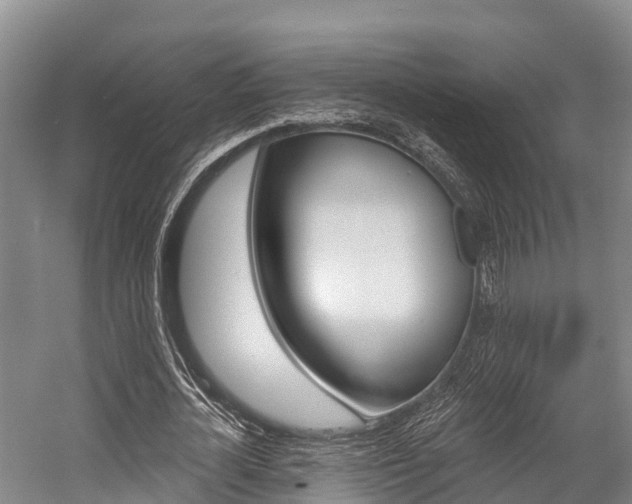 X0000058770724200509300839