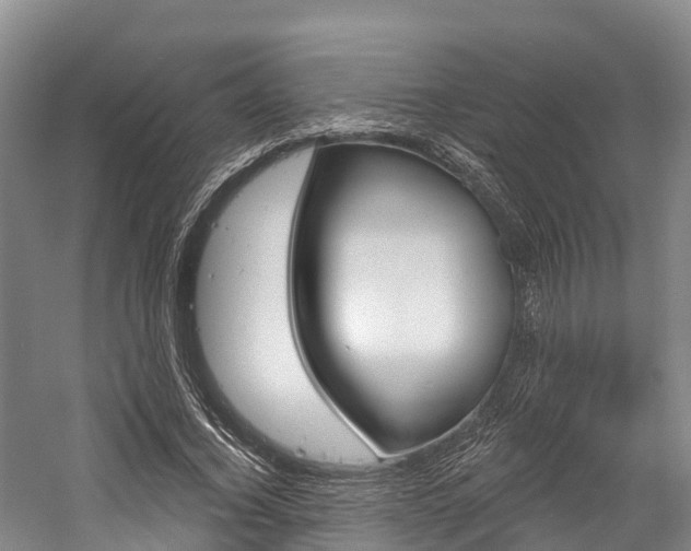 X0000058770732200509300839
