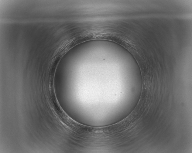 X0000058770740200509300839