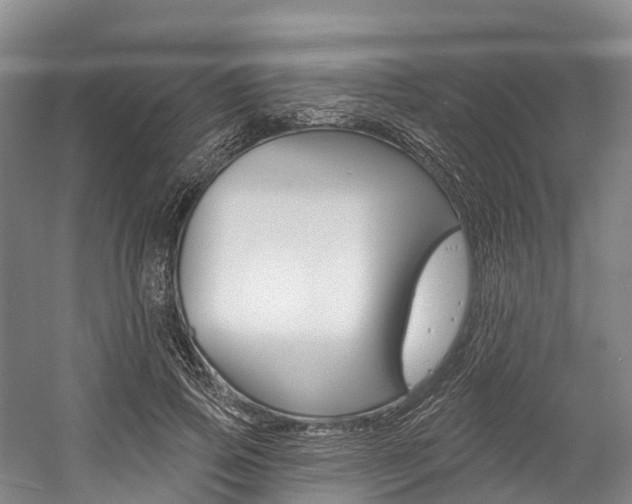 X0000058770741200509300839