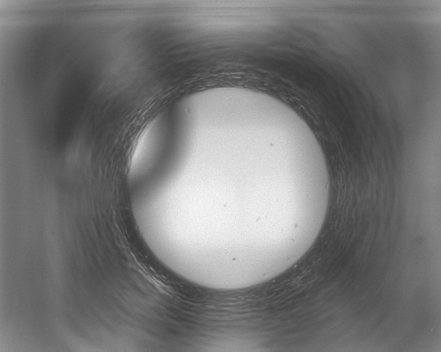 X0000058770750200509300839