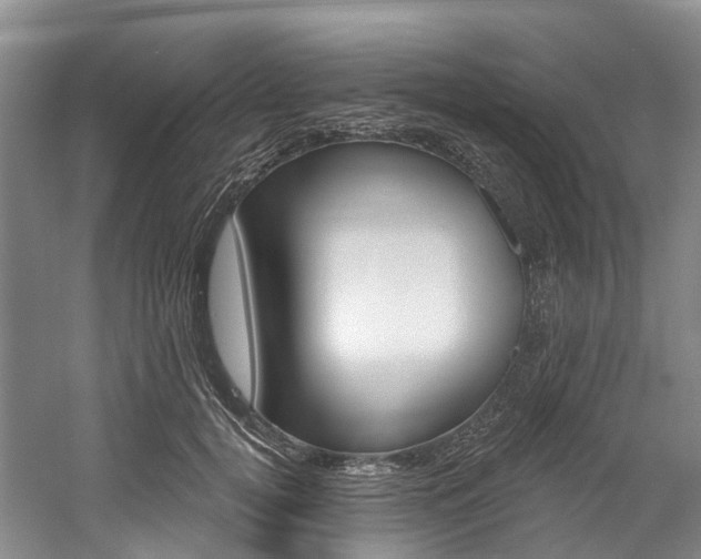 X0000058770752200509300839