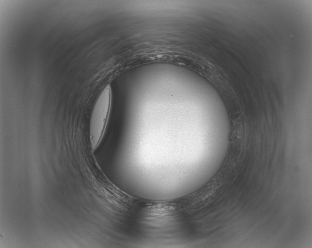 X0000058770754200509300839