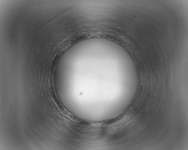 X0000058770757200509300839