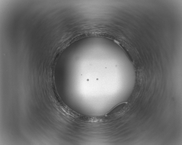 X0000058770760200509300839