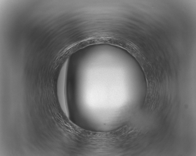 X0000058770773200509300839