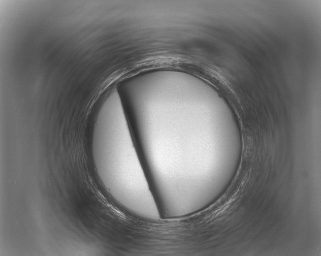 X0000058770778200509300839
