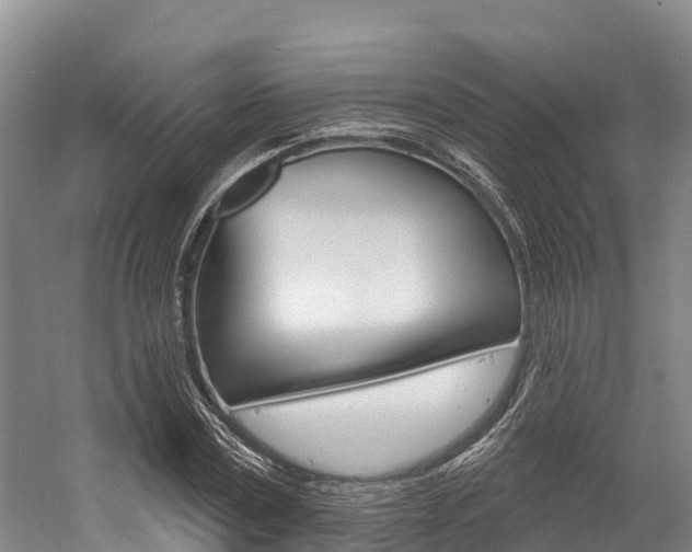 X0000058770779200509300839
