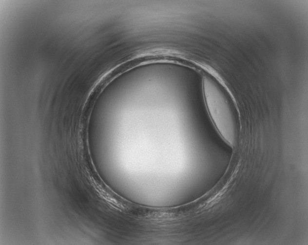 X0000058770783200509300838