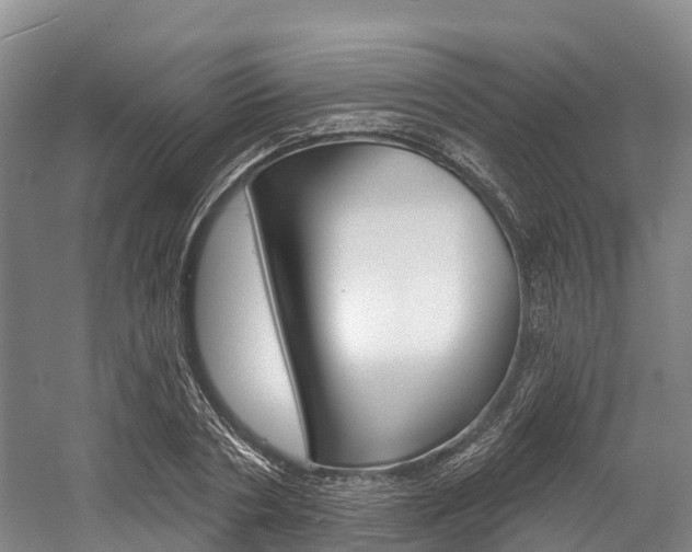 X0000058770786200509300838