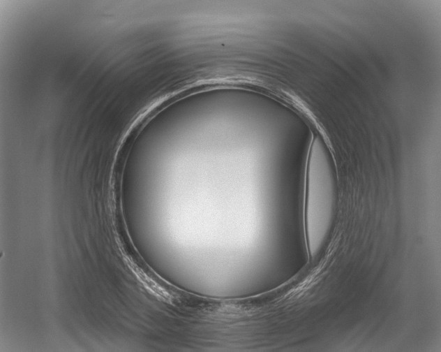 X0000058770787200509300838