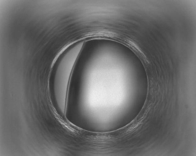 X0000058770788200509300838