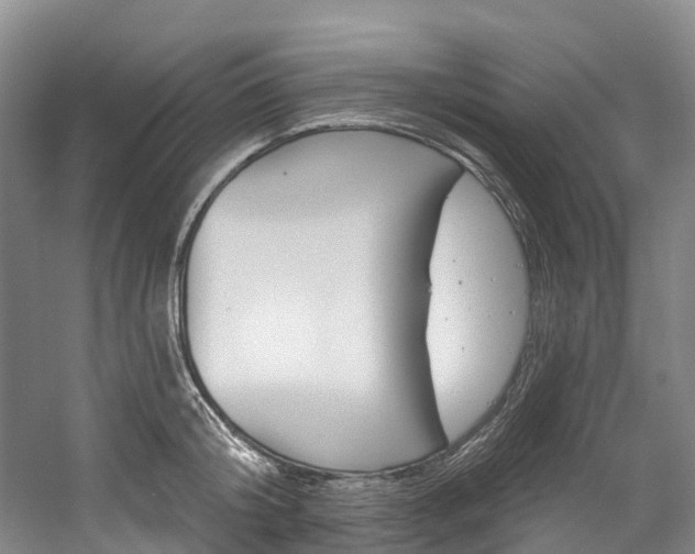 X0000058770804200509300838