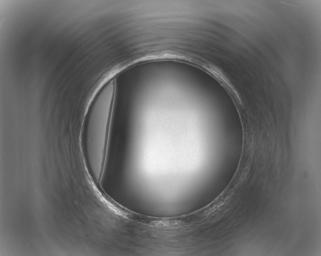 X0000058770805200509300838