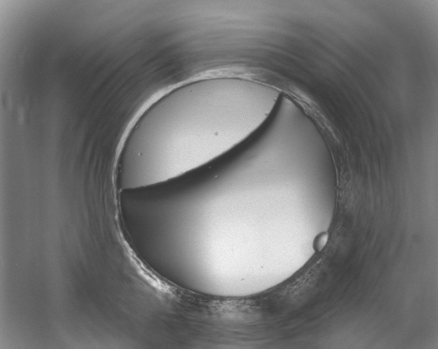 X0000058770808200509300838