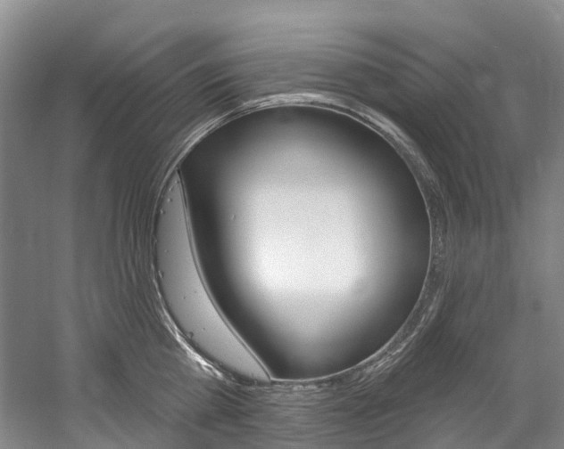 X0000058770809200509300838
