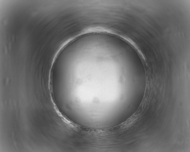 X0000058770815200509300838