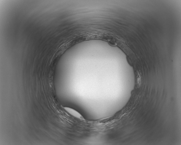 X0000058770819200509300837