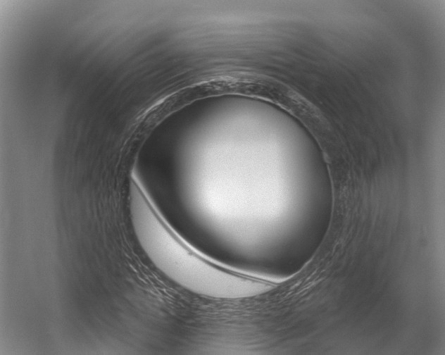 X0000058770822200509300837