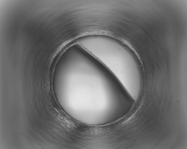 X0000058770829200509300837