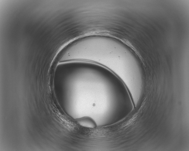 X0000058770830200509300837