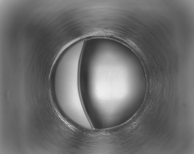X0000058770838200509300837