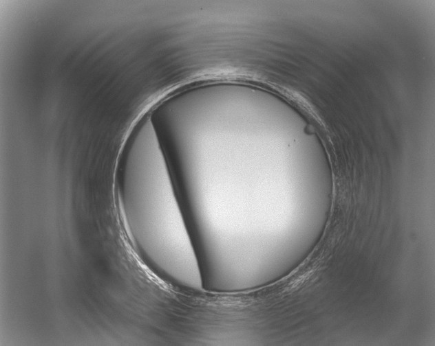 X0000058770839200509300837