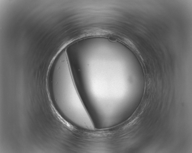 X0000058770843200509300838