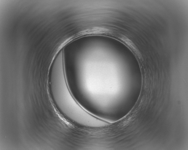 X0000058770850200509300838