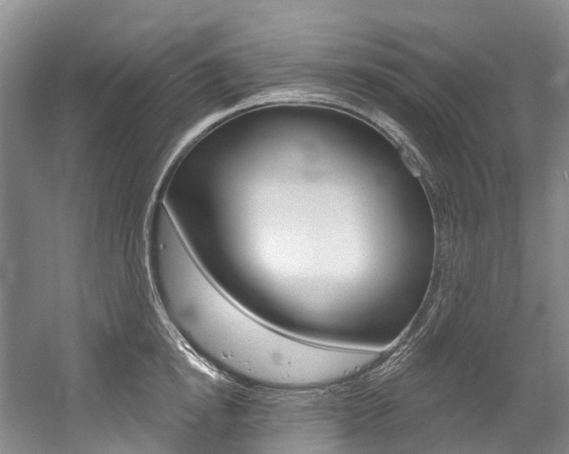 X0000058770854200509300838