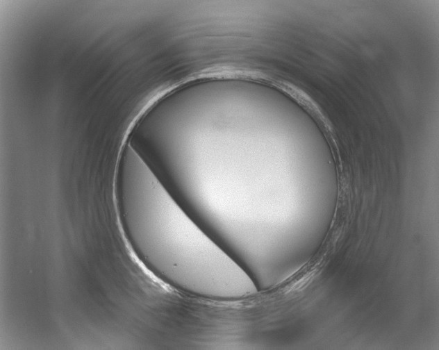 X0000058770855200509300838