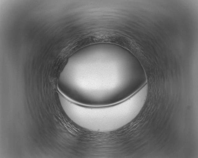 X0000058770868200509300837