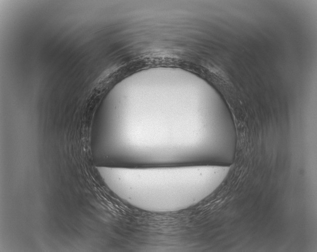 X0000058770870200509300837