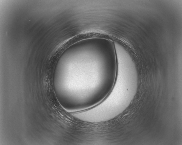 X0000058770872200509300837