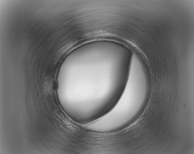 X0000058770873200509300837