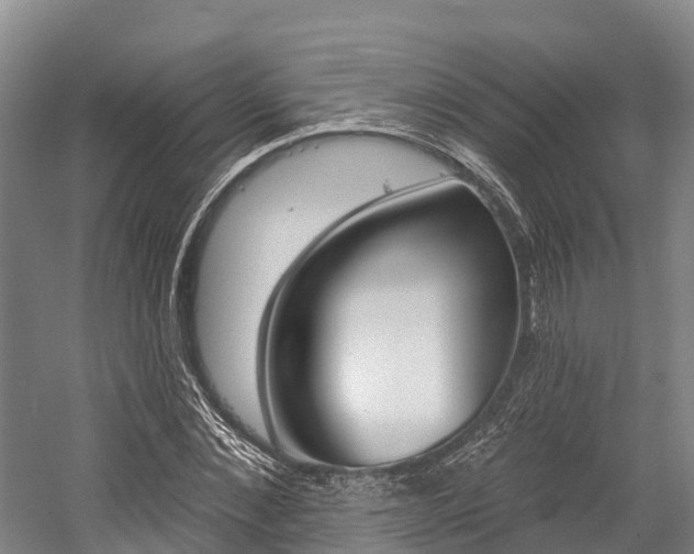 X0000058770876200509300837